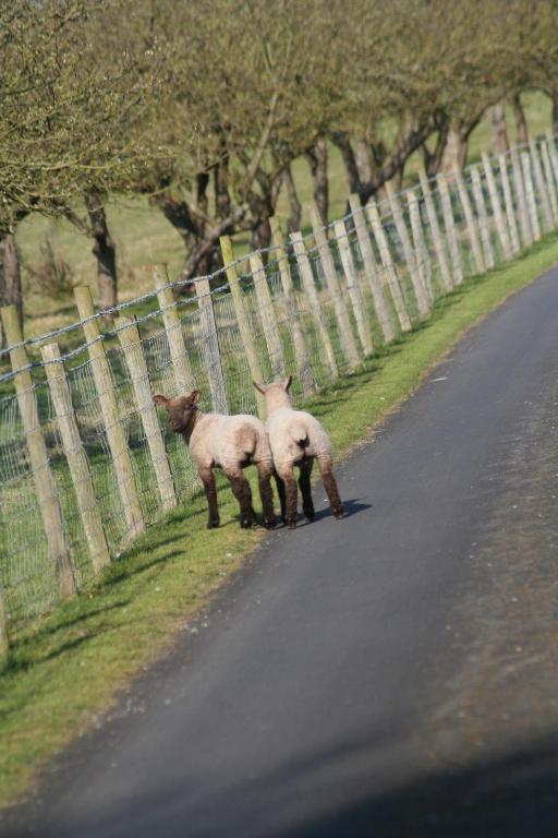 Ingon Bank Farm * Stratford-upon-Avon