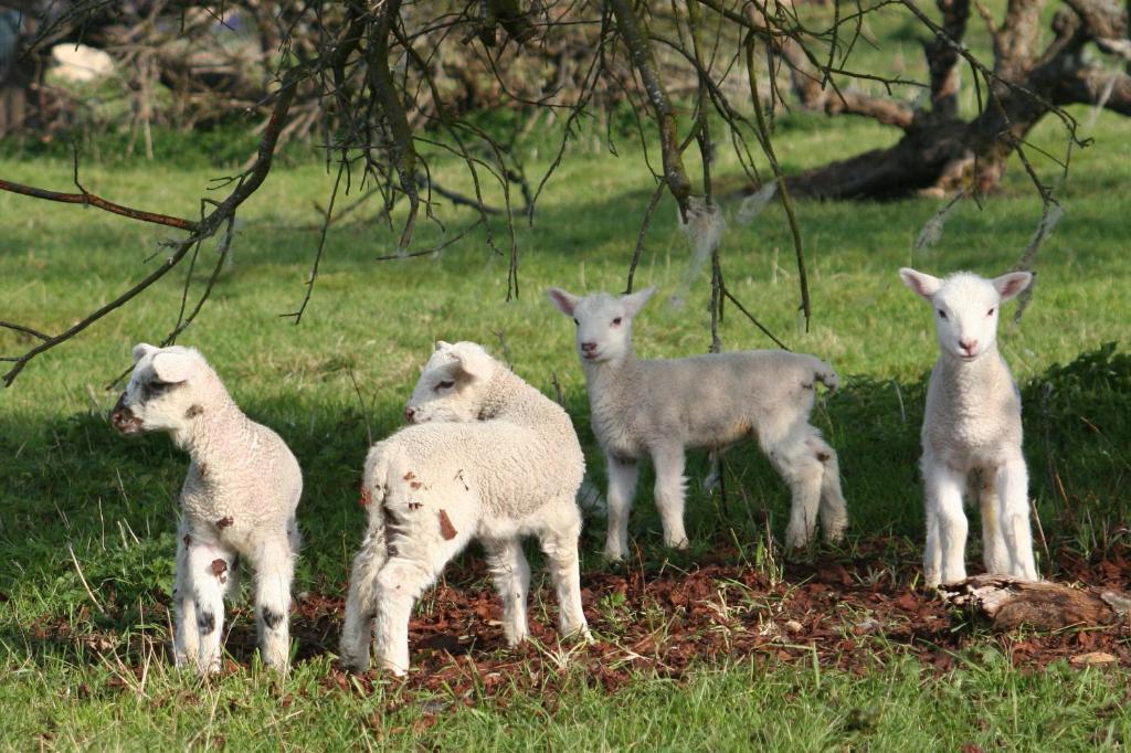 Ingon Bank Farm Country house